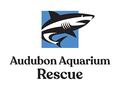Audubon Aquarium Rescue