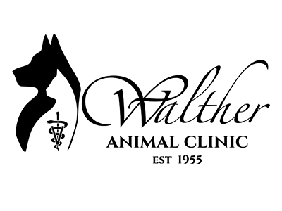 Walther Animal Clinic - Lutin Sponsor